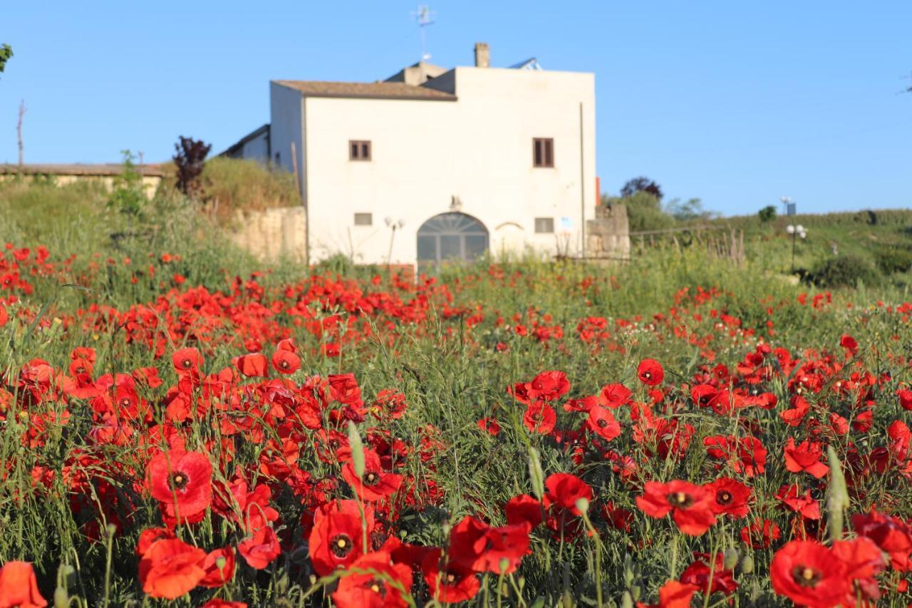 Masseria Agriturismo Moschella Posta Piana Exterior foto